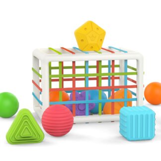 Sensory Toys Shape Sorter